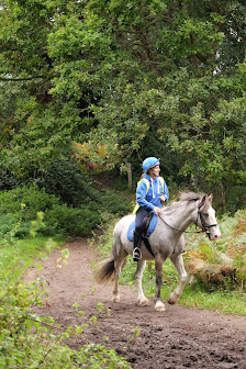 Studland Trekking Centre